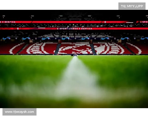 本菲卡光明球场将成为2030世界杯揭幕战举办地 引发球迷热烈期待